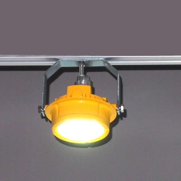 Ex-sicheres und wasserdichtes Verladedock 20watt WF2 LED beleuchtet Marinedocklicht des CREE LED 1